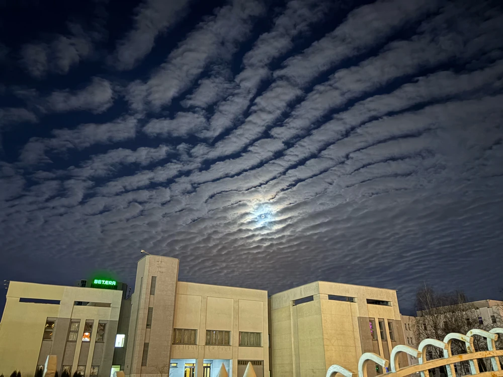 Фото загрузил Маргарита