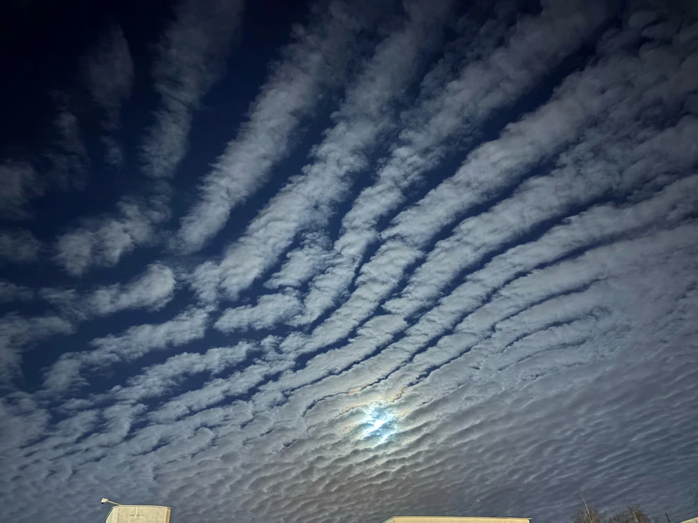 Фото загрузил Маргарита