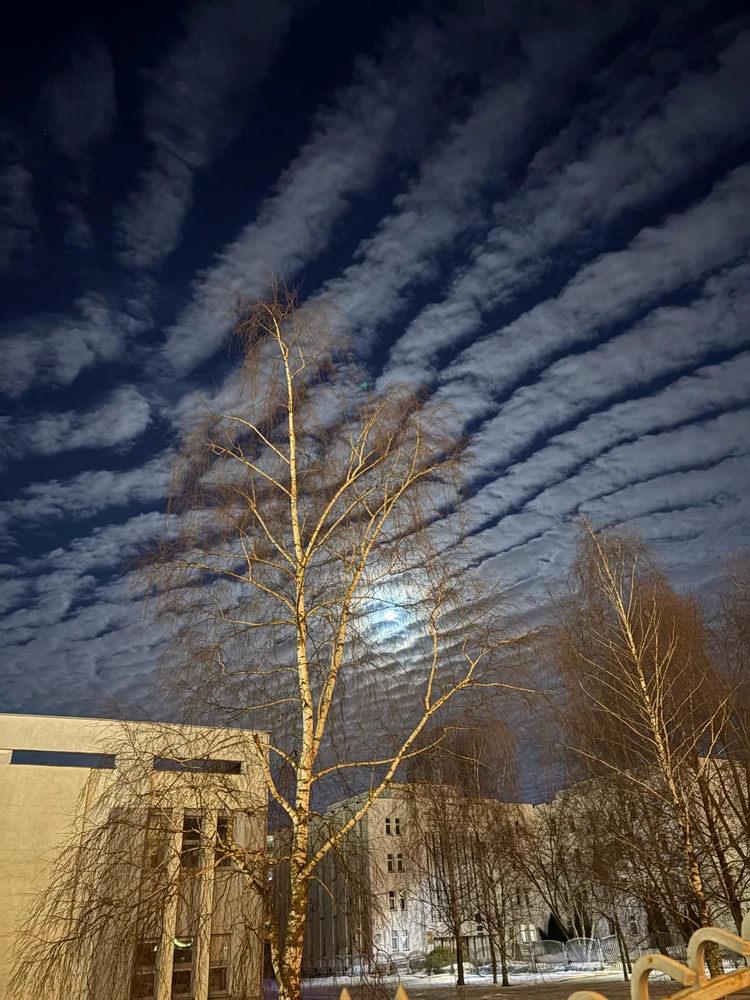 Фото загрузил Маргарита
