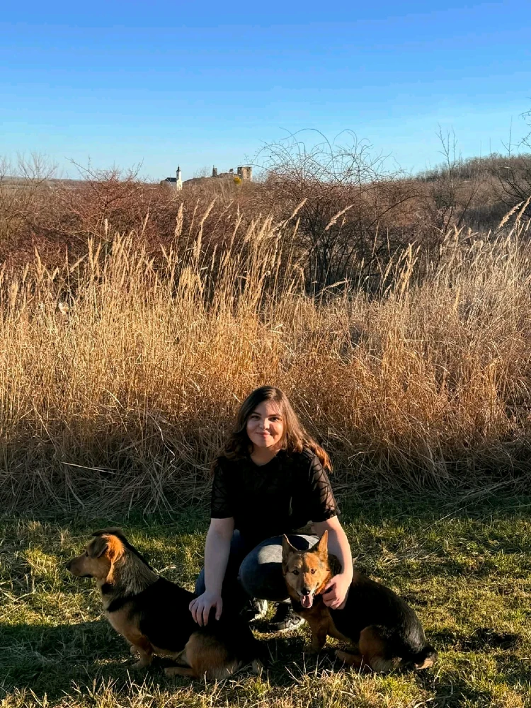 Evelin által feltöltött kép