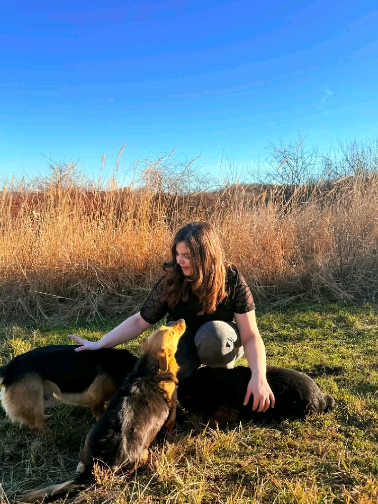 Evelin által feltöltött kép