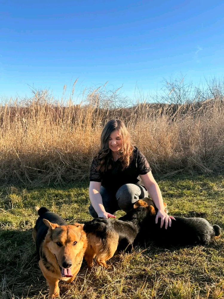 Evelin által feltöltött kép