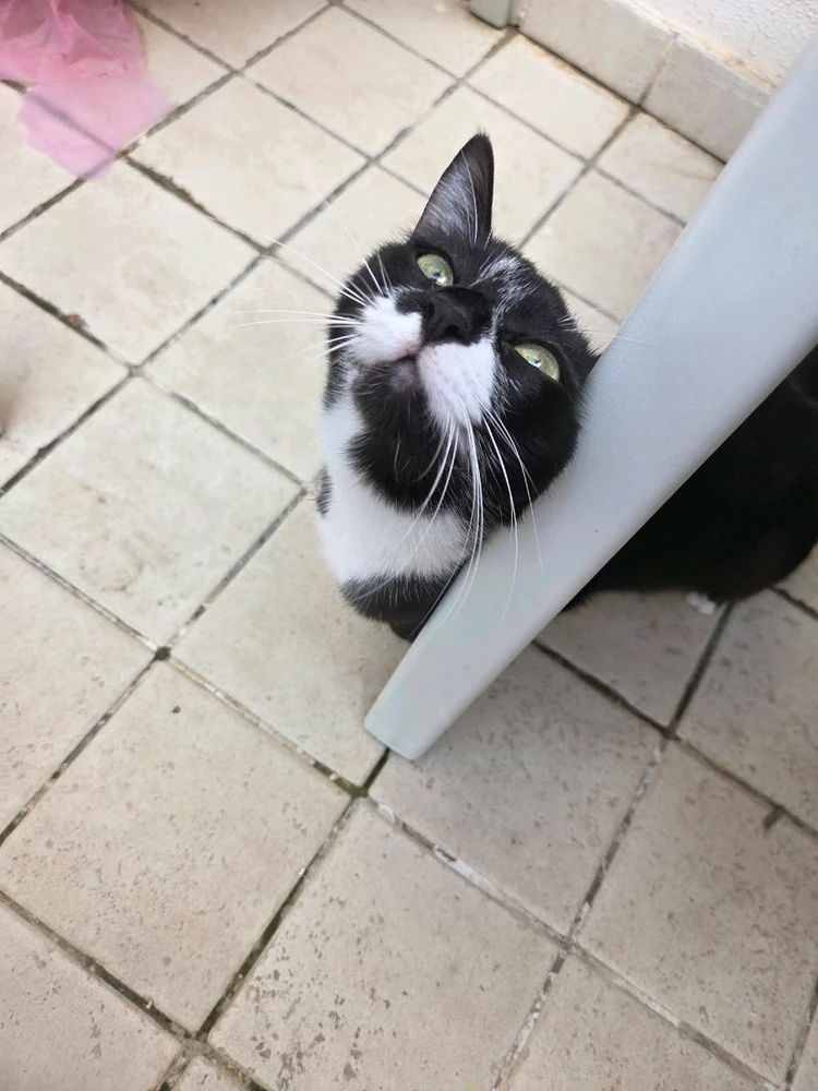 GIF uploaded by Nika