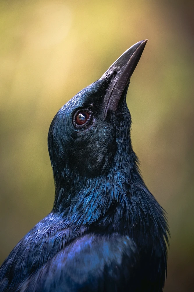 GIF uploaded by Hao Wen