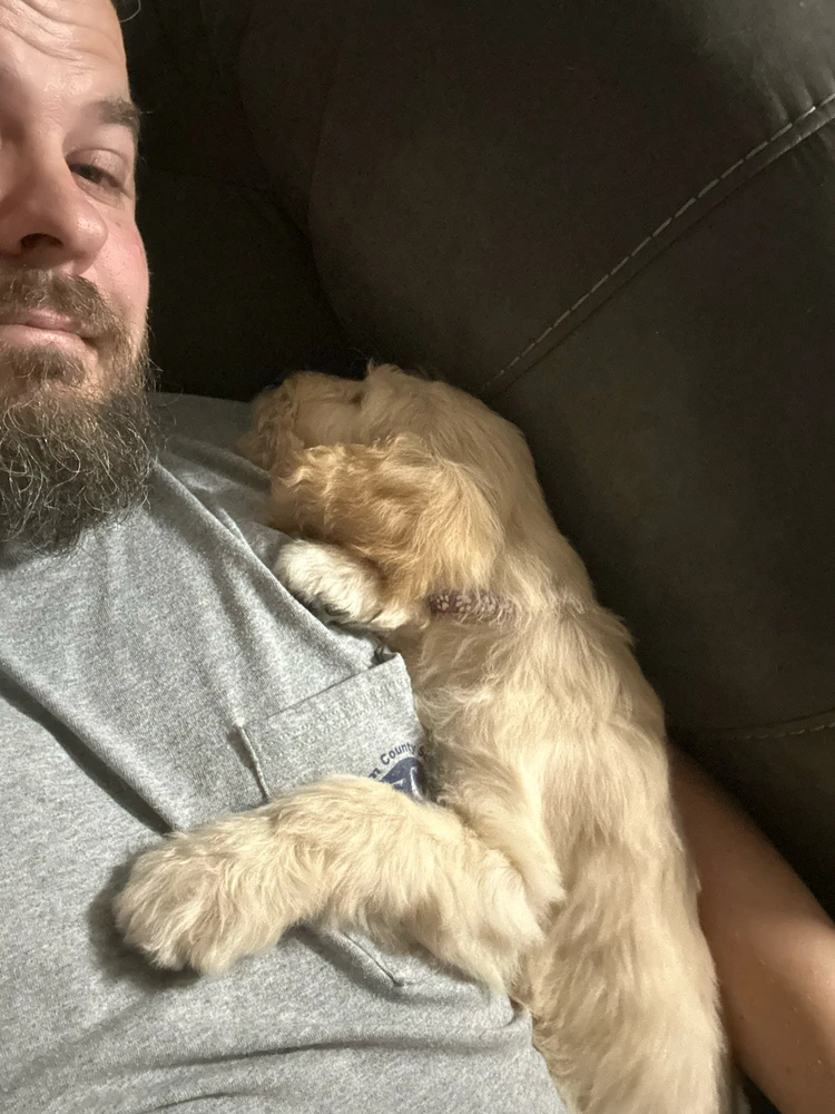 GIF uploaded by Ronnie