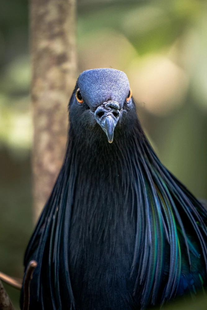 GIF uploaded by Hao Wen