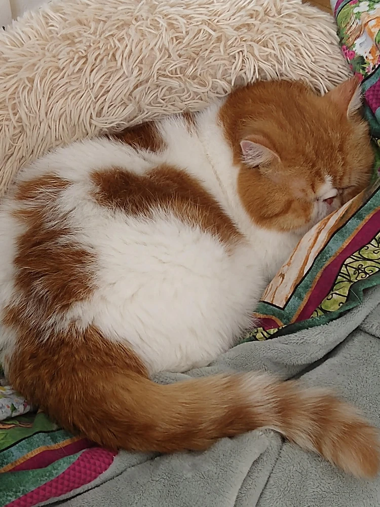 GIF uploaded by Elias