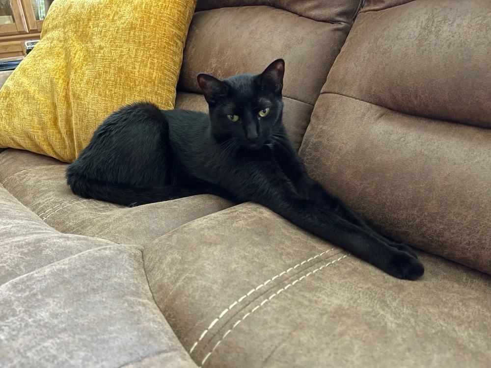 GIF uploaded by Ethan