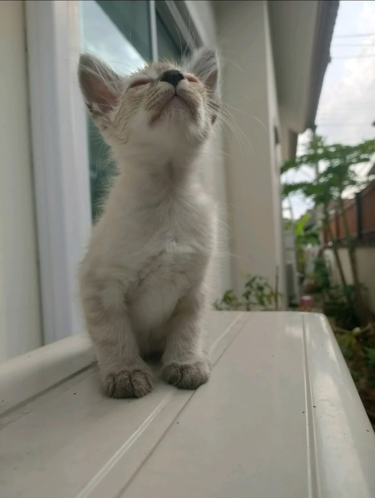 GIF uploaded by Jellyfish