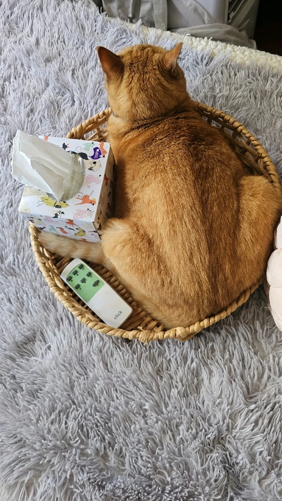 GIF uploaded by Clare-Bear