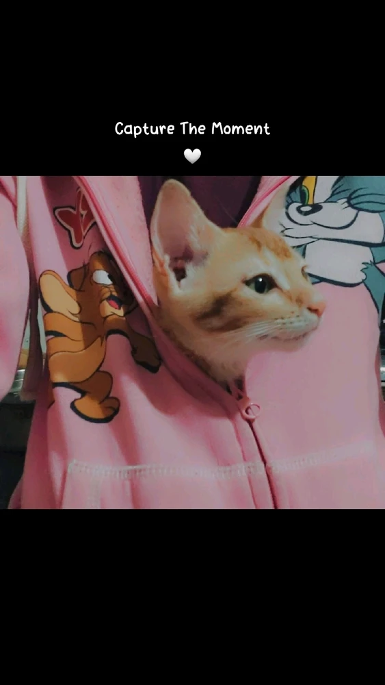 Image uploaded by Dikshu