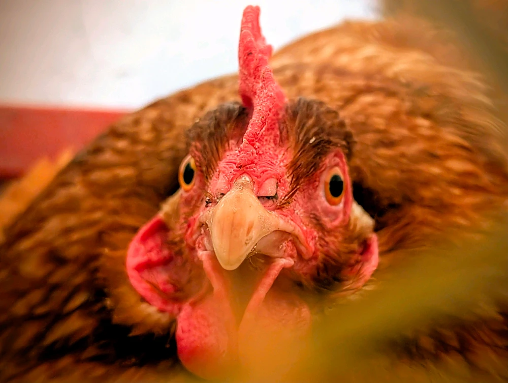 GIF dodany przez Nikola