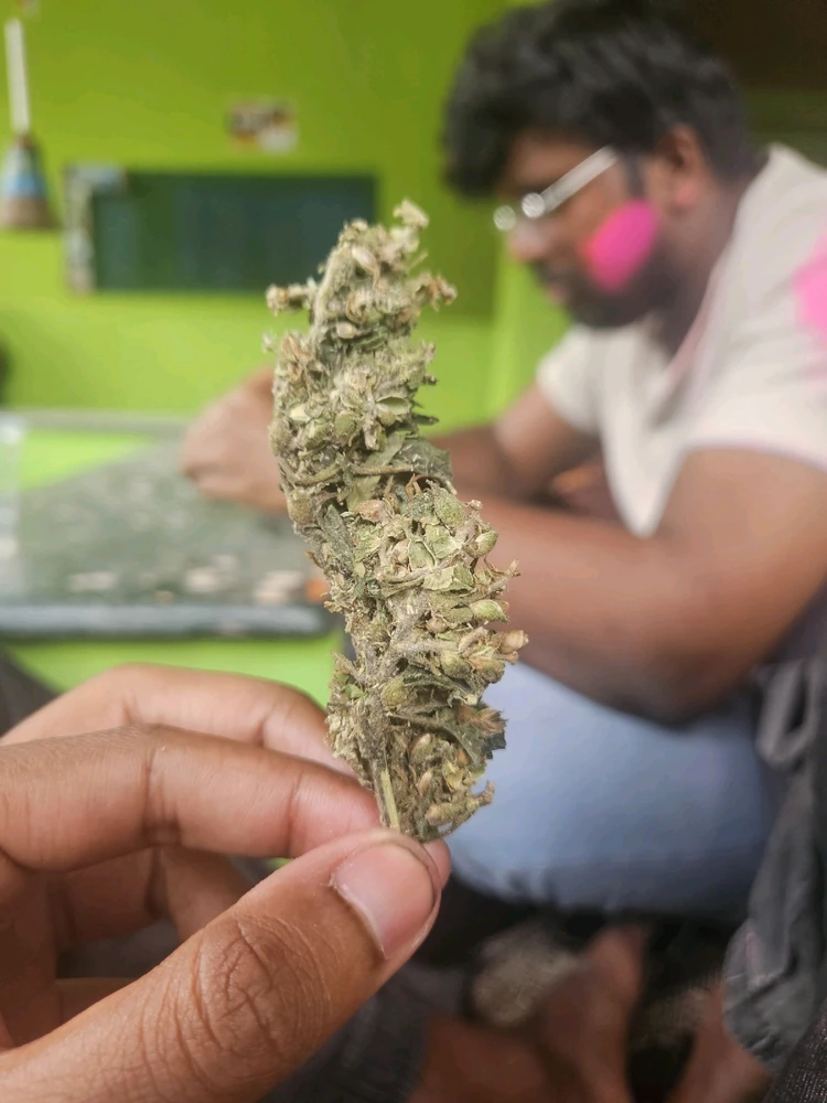 GIF uploaded by Augusta Bhardwaj