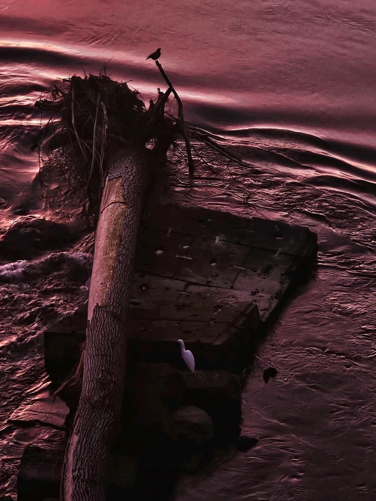 Image uploaded by Mohammd hassan