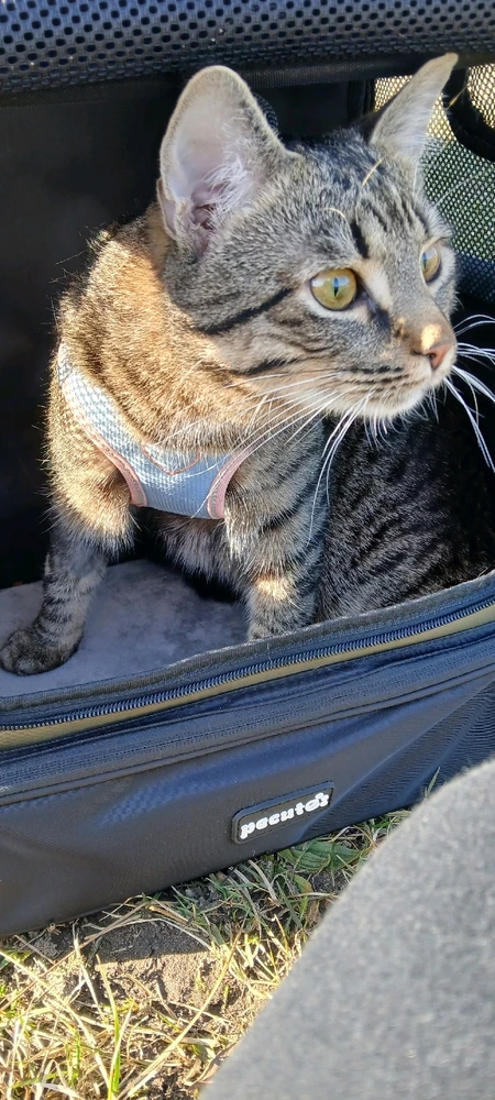 GIF hochgeladen von Marron