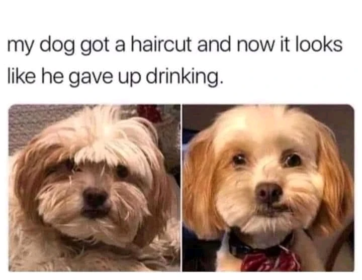 GIF uploaded by Kelcey