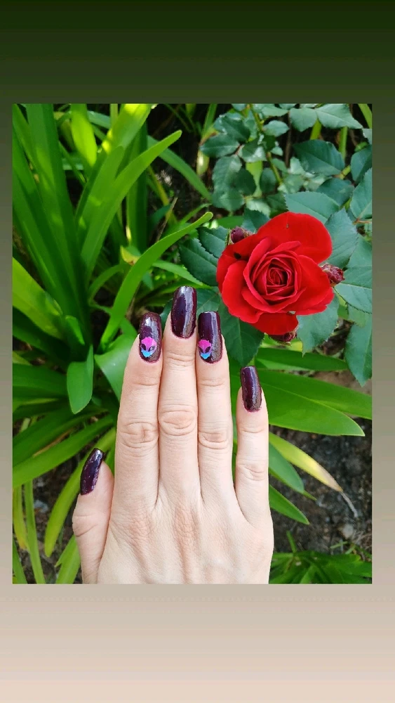 Image uploaded by Ju