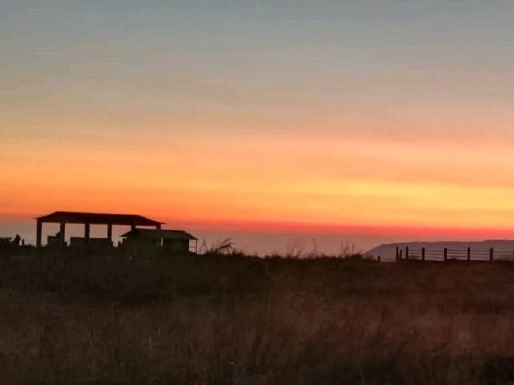 Image uploaded by Ankur