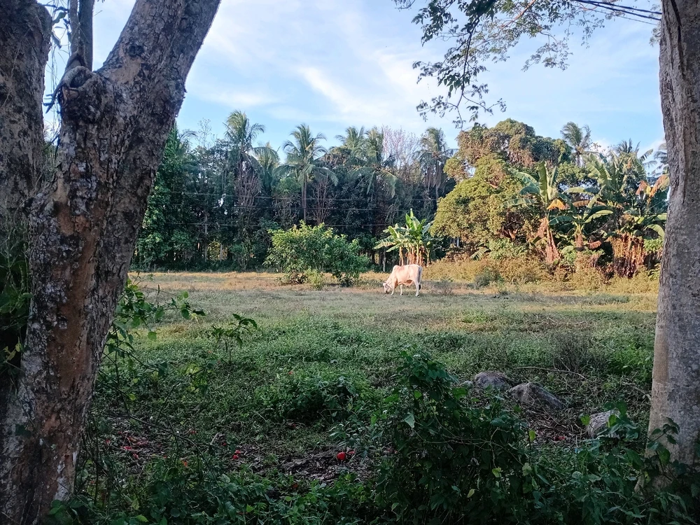 Image uploaded by Shie