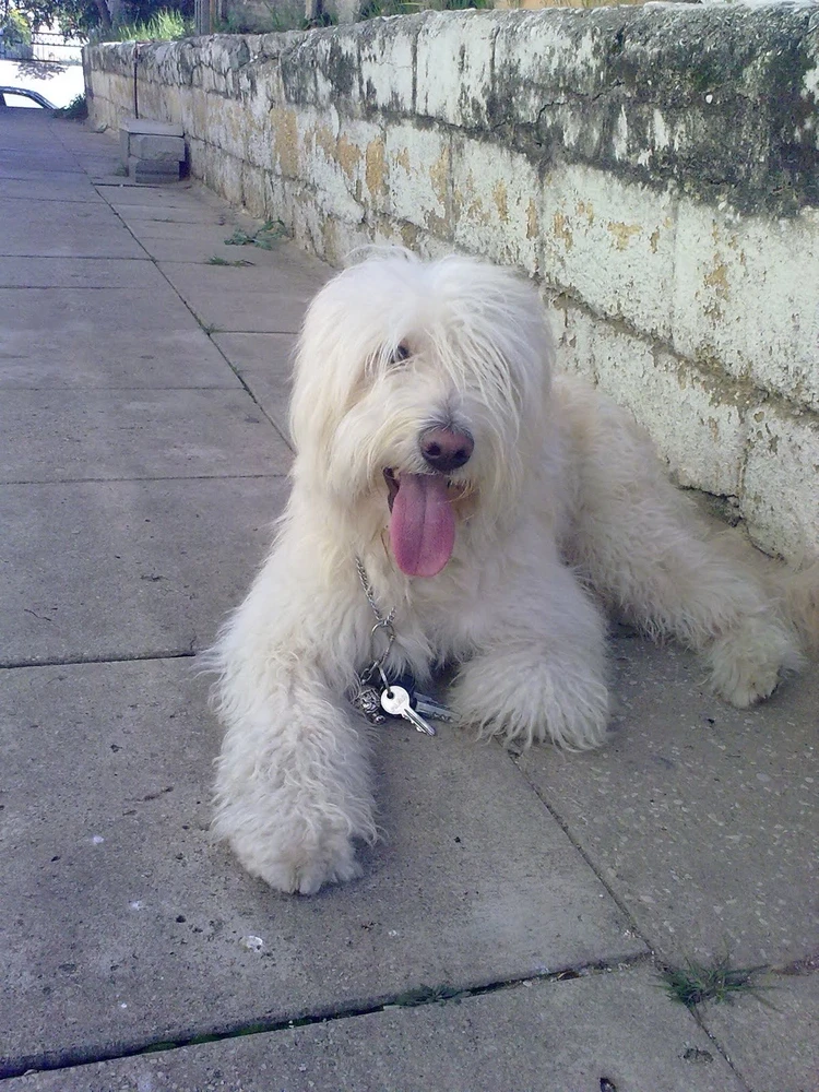 Image uploaded by MK