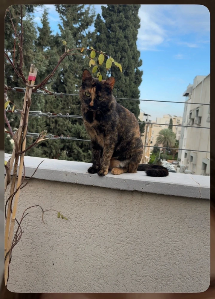 Image uploaded by MK