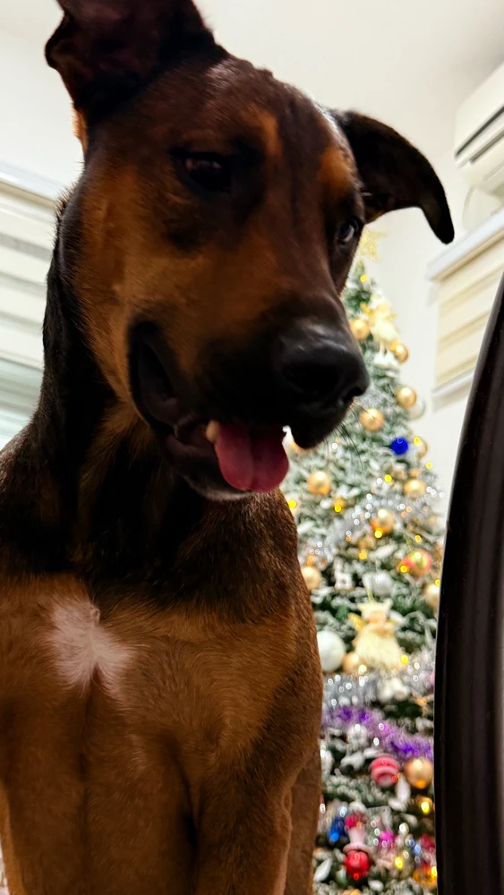 Image uploaded by MK