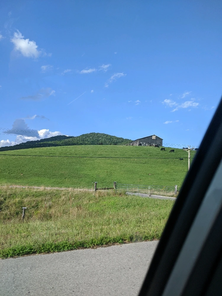 Image uploaded by Ricardo