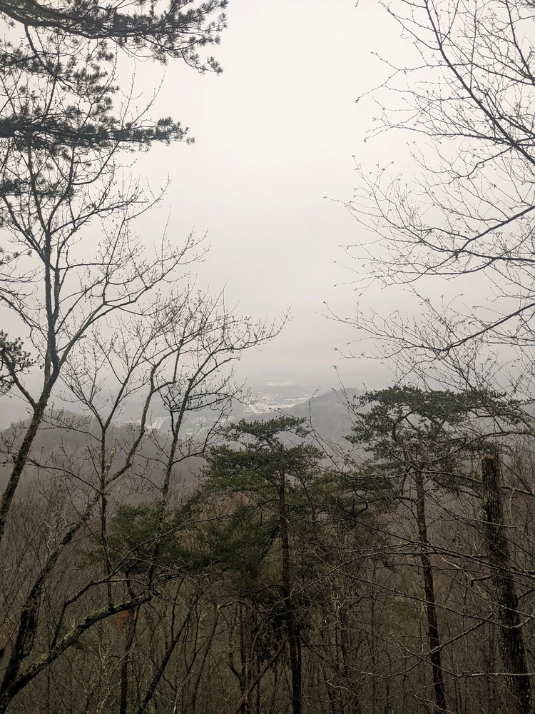 Image uploaded by Ricardo