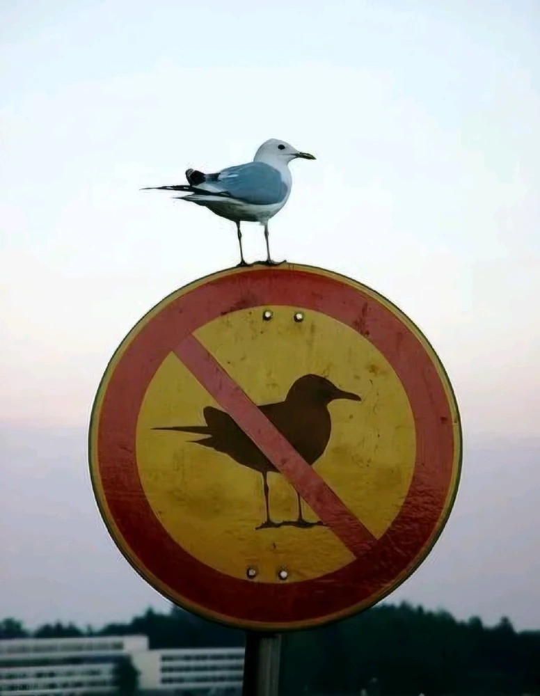 GIF uploaded by Michalis