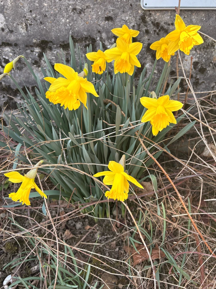 Image uploaded by ๐โจโณโฏ๐๐ถ๐๐พ๐๐โฏโจ๐