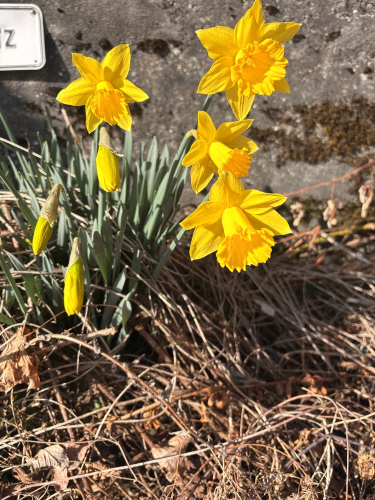 Image uploaded by ๐โจโณโฏ๐๐ถ๐๐พ๐๐โฏโจ๐