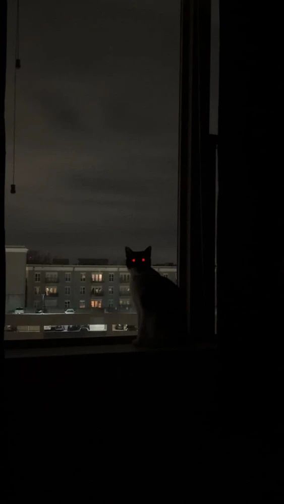 GIF uploaded by Iago