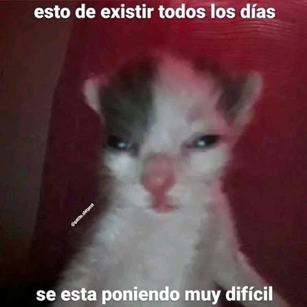 GIF subido por Stiven