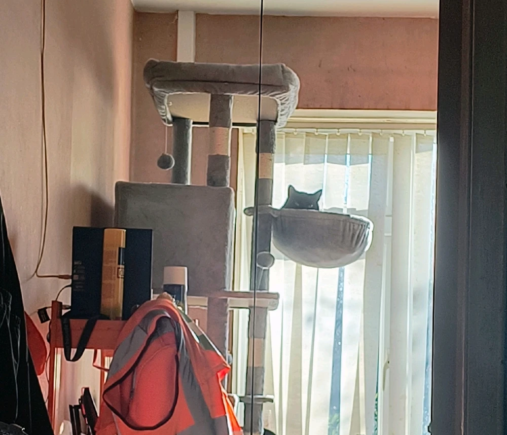 GIF uploaded by Jodie