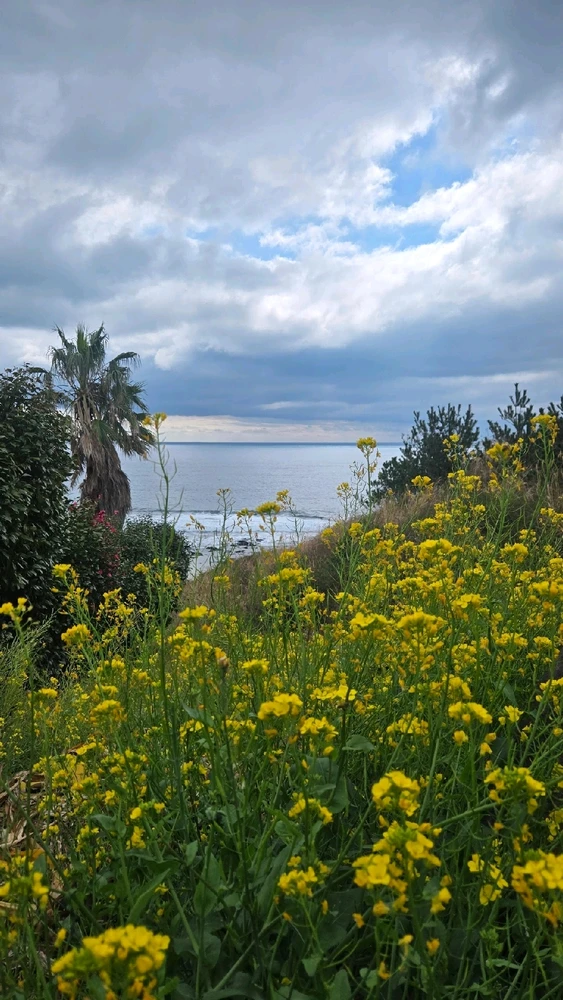 설이애비님이 올린 GIF