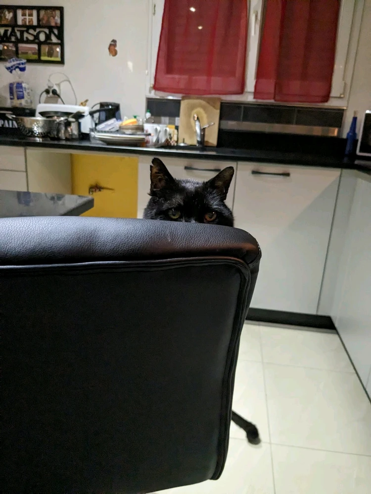 GIF ajouté par Wawa