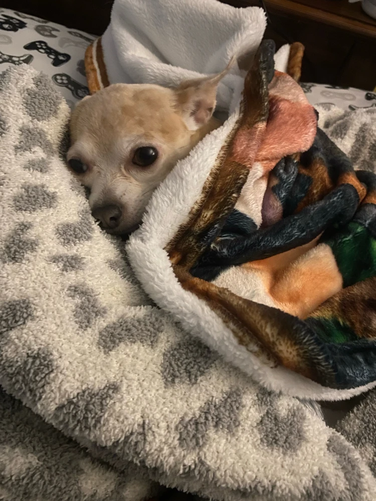 GIF uploaded by Sándra