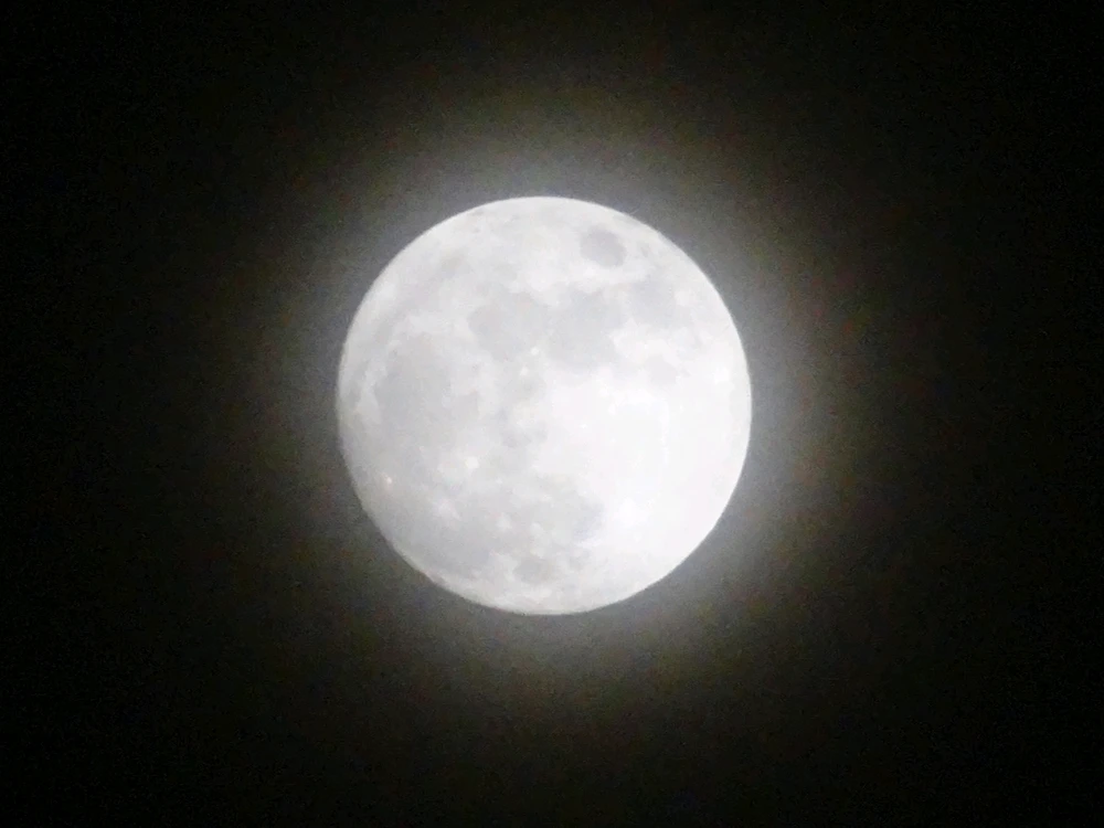 GIF uploaded by Daniel