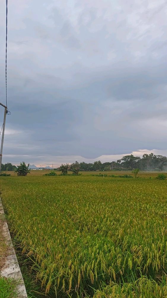 Gambar diunggah oleh Annisa dwi