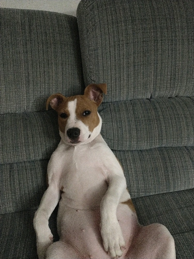 Gambar diunggah dening Steven