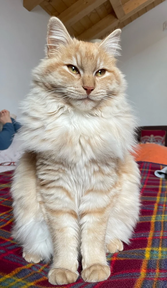 Immagine caricata da Davide