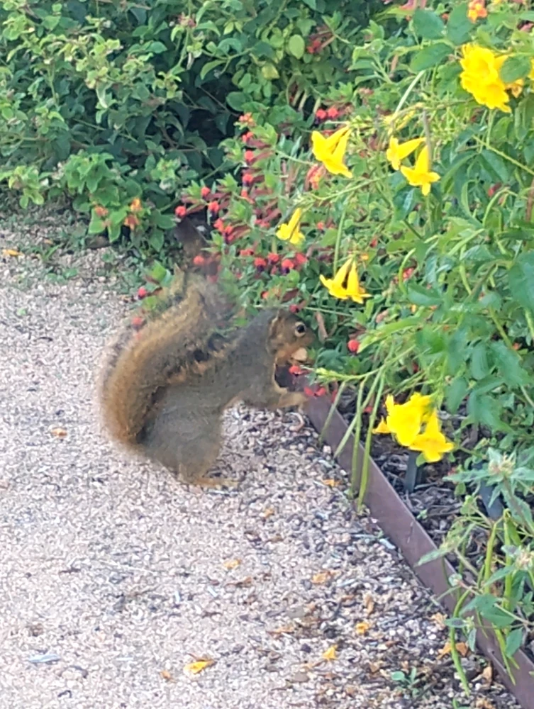 GIF uploaded by Fivienne