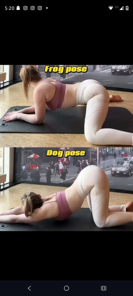 Image uploaded by Gaia