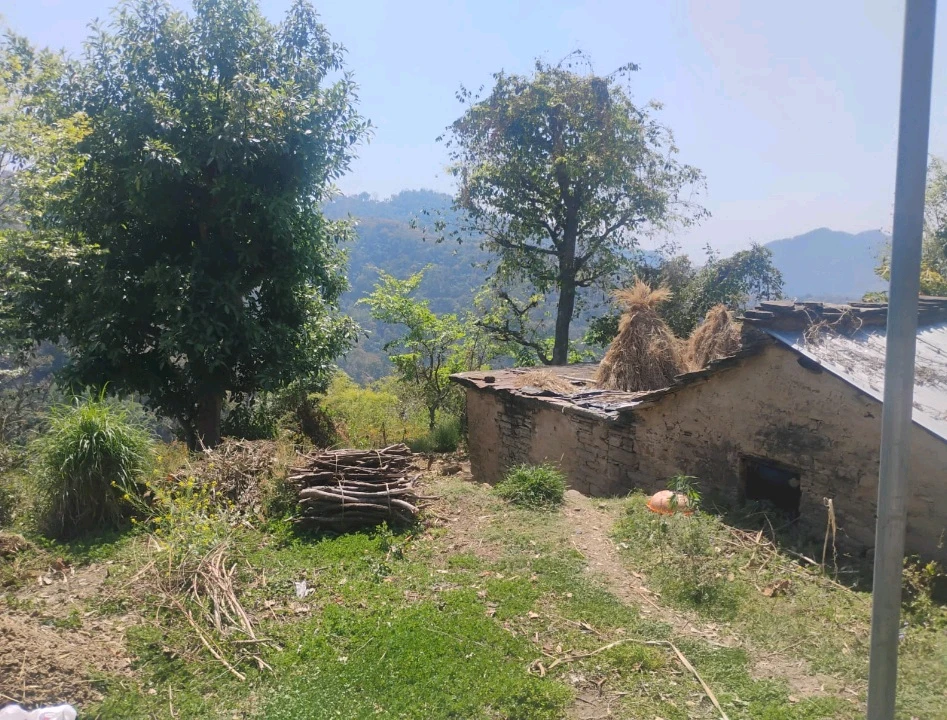 Image uploaded by Sin Nombre