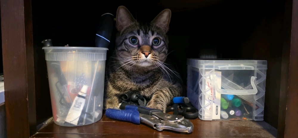 GIF uploaded by Michael