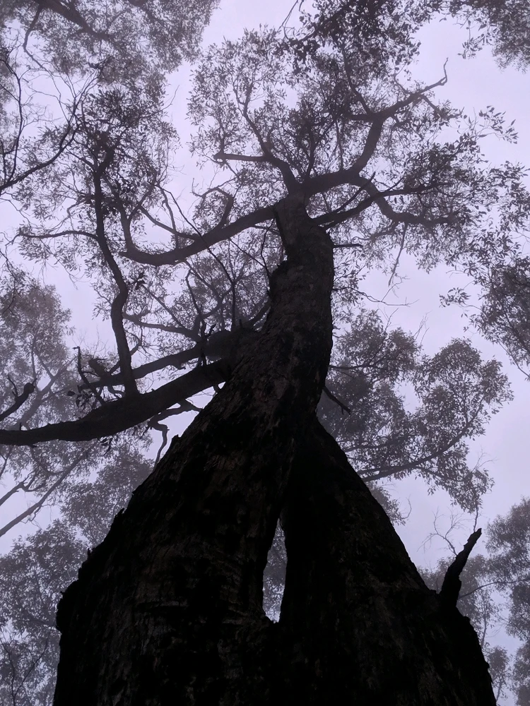 GIF uploaded by Chris