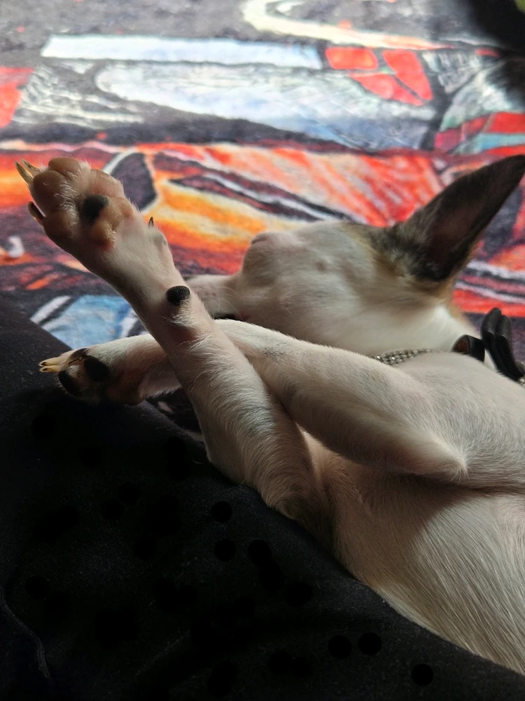 GIF uploaded by gabriella