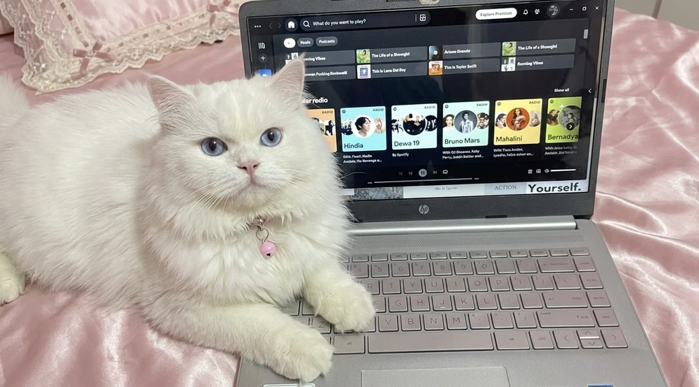 GIF uploaded by Karin