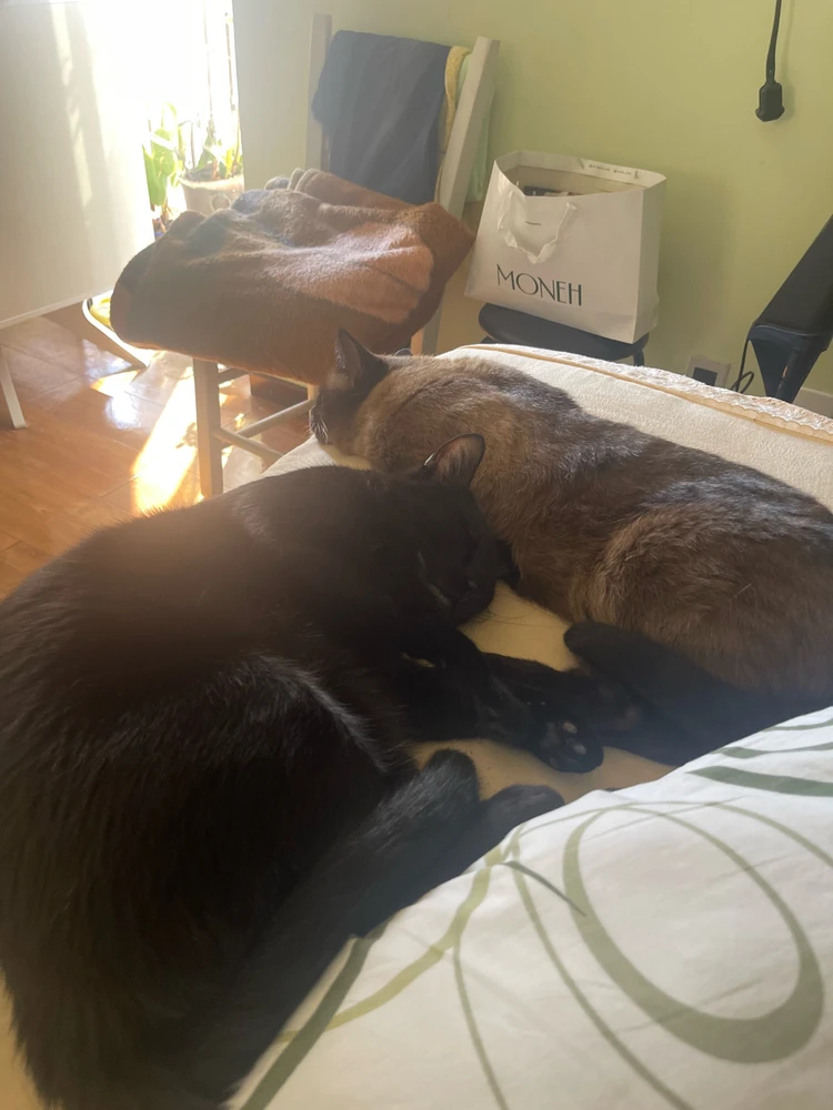 GIF enviado por Bruno