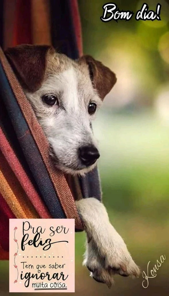 GIF enviado por Tatah